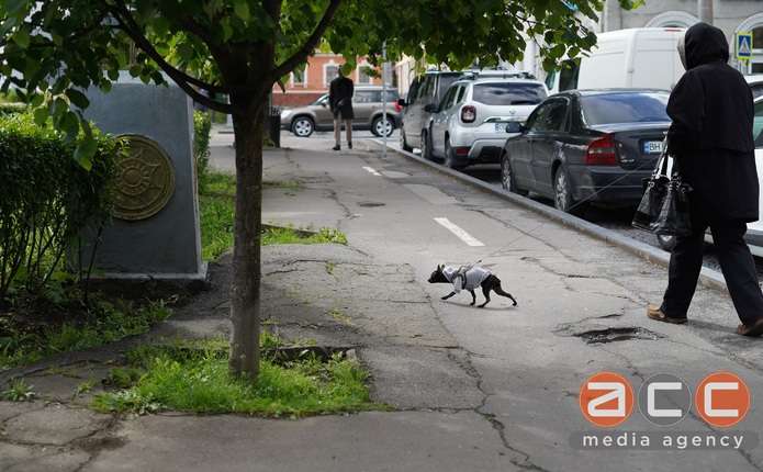 Мінлива хмарність то до +14 градусів: якою буде погода 27 березня