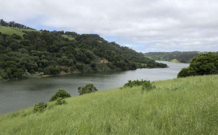 Громада Буковини незаконно привласнила землі: прокуратура подала позов до суду