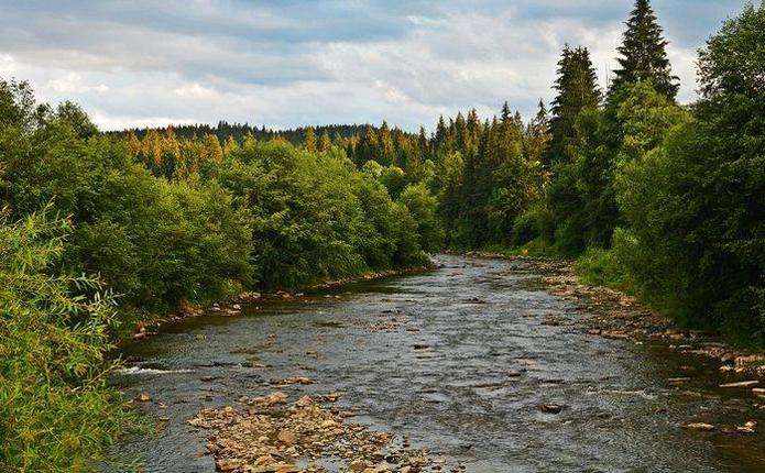 На річках Буковини через значні опади підніметься рівень води