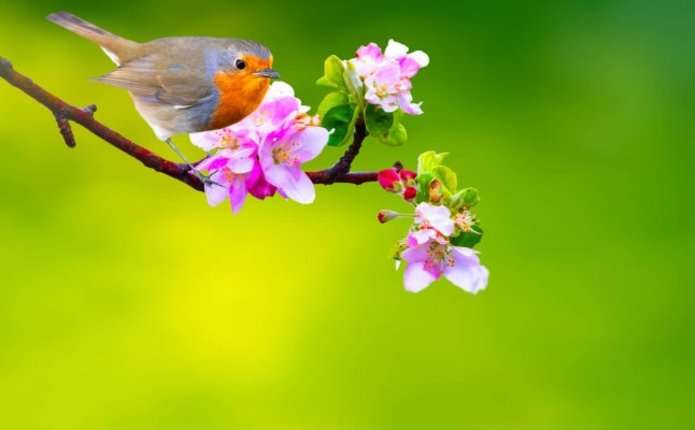 Сьогодні 18 квітня: що відзначають в Україні та світі