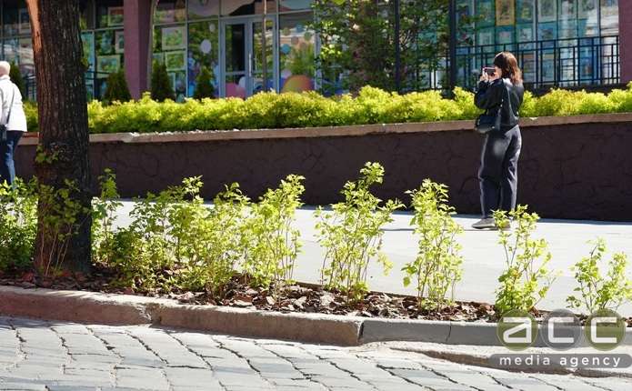 Майже 30 градусів тепла: якою буде погода на Буковині 26 травня