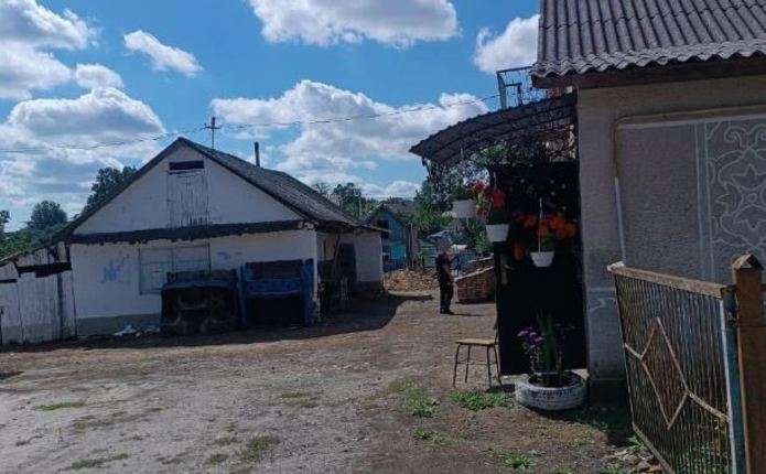 news-image