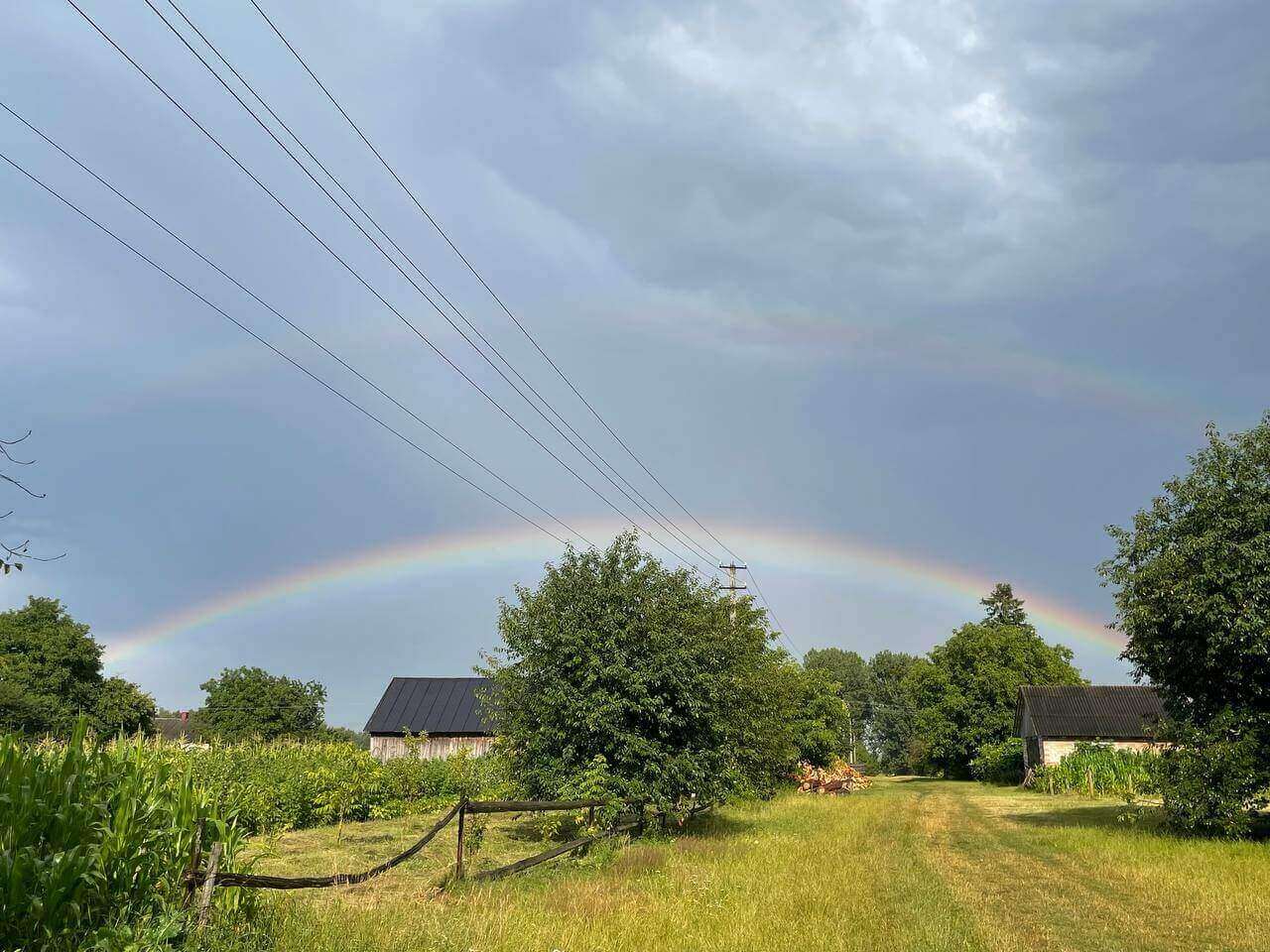 У Луцьку помітили рідкісне природне явище (Фото)