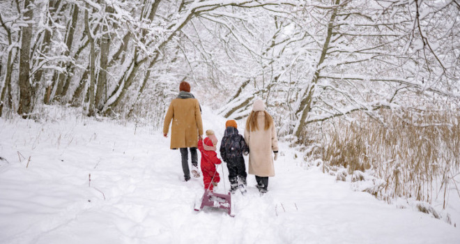 Синоптики повідомили, коли до України прийде справжня зима