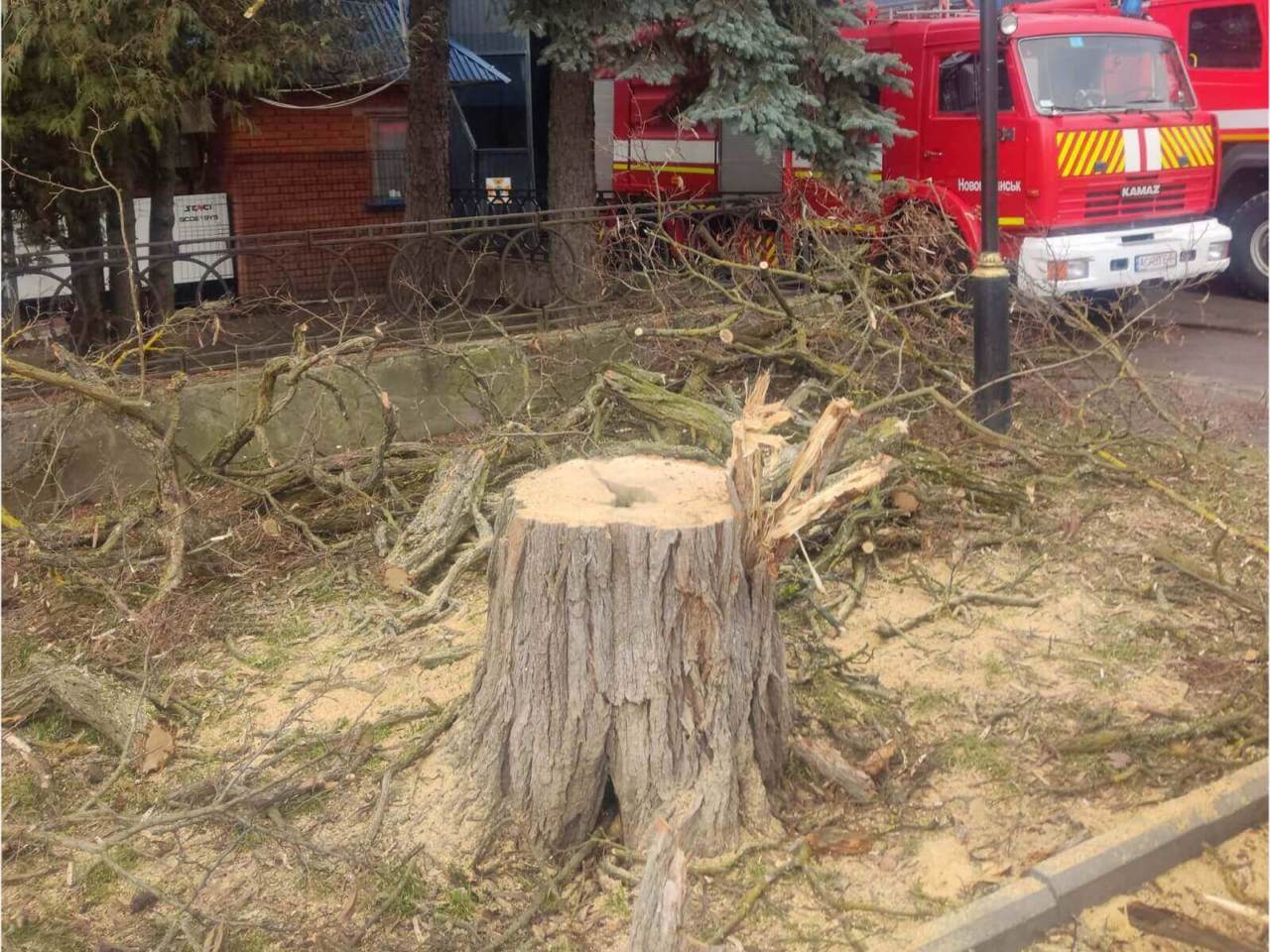 Врізався в пень: судили мотоцикліста, який скоїв аварію у лісі на Ратнівщині