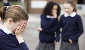 На Волині судили матір учня за булінг іншої школярки