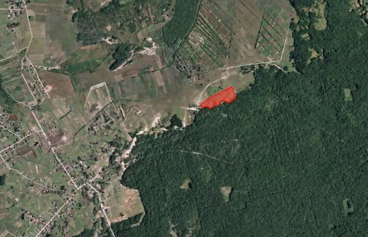 На Волині селищна рада здала в оренду 6 гектарів поля столичній фірмі