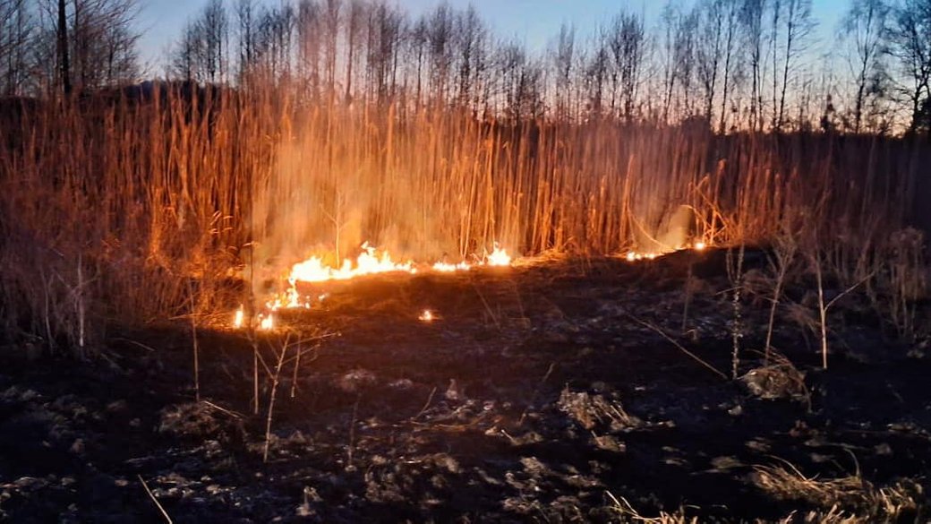 В двох районах на Волині за добу згоріло 3 гектари сухої трави