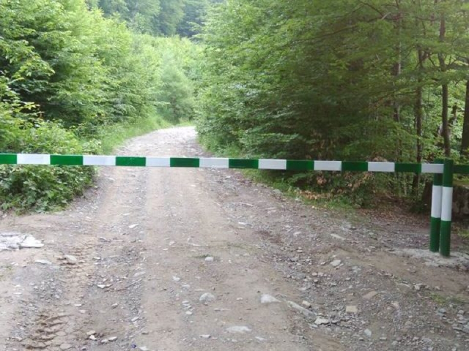 На в’їзді до комунального лісу в селі Кульчин встановили три шлагбауми