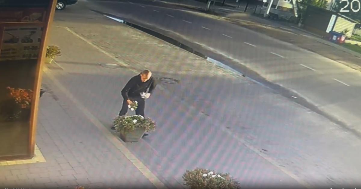 news-image