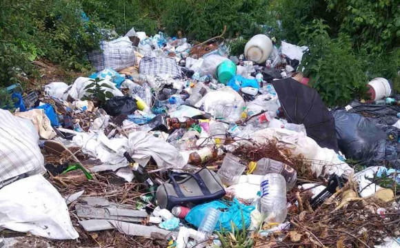 Майже 5 мільйонів гривень штрафів сплатять волинські громади за засмічення територій