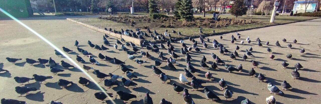 Погода у Слов’янську: тепло до +24°C, з дощами ближче до вихідних
