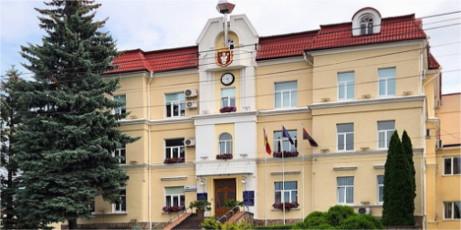 Луцька мерія не може зрізати три дерева та перекласти метр бруківки?