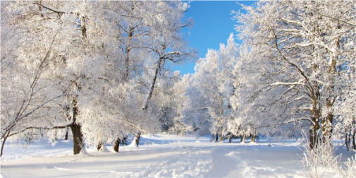 На Волинь насувається сильний снігопад