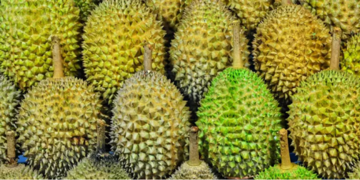 Навіть «кіндери» та жуйки: яка їжа та у яких країнах є забороненою