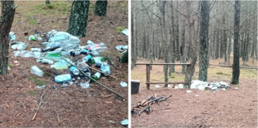 У лісі на Волині виявили гори сміття (фото)