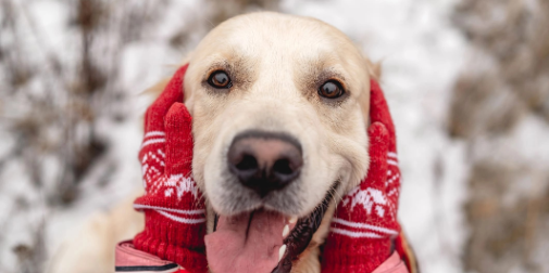 Морози до -18° та ожеледиця: погода на Волині на 12 січня