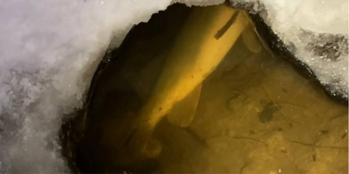 Ополонки не допомогли: у каналах Центрального парку Луцька масово гине риба (відео)