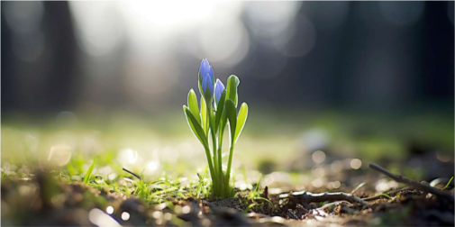 Справжнє весняне тепло: погода на Волині 1 березня