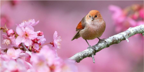 Синоптики ошелешили прогнозом: якої погоди чекати українцям весною