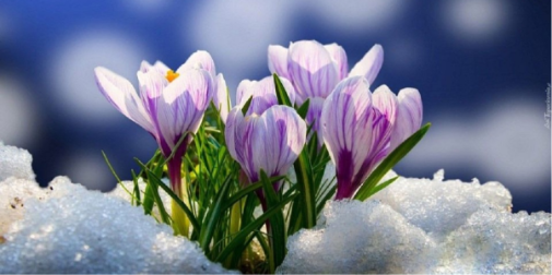 Якою буде погода на Волині 28 лютого та 1 березня