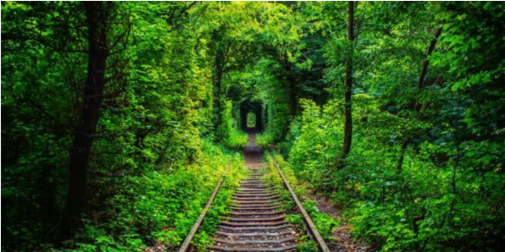Романтика на рейках: яку військову таємницю приховує Тунель кохання в Клевані