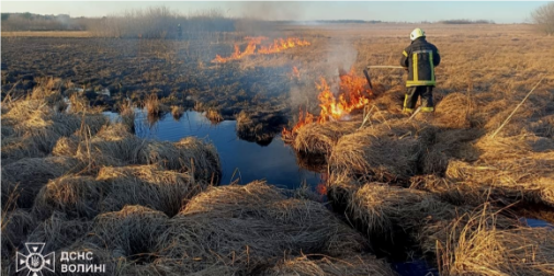 На Волині за добу вигорів понад гектар землі: рятувальники назвали ймовірну причину (фото)