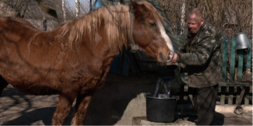 Високі ціни на пальне та міндобрива: як це вплине на посівну на Волині (відео)