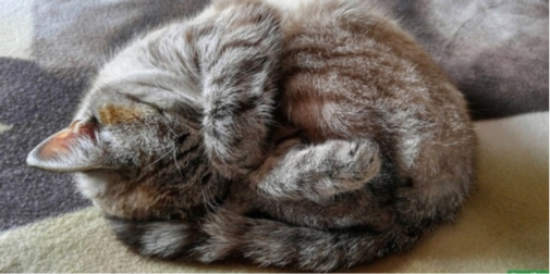 Хмари відступають: погода на Волині 2 квітня