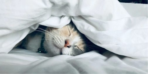 Великдень з морозцем: якою буде погода на Волині 12 квітня