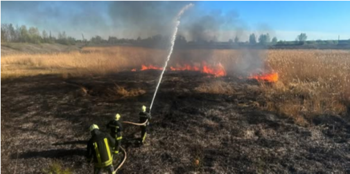 Горіли чагарники та очерет: на Волині загасили 10 пожеж (фото)