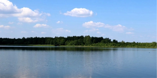 news-image