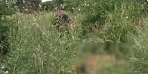 У лісі біля Луцька знайшли мертвого червонокнижного оленя (відео)