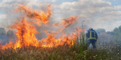 news-image