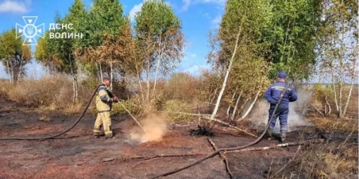 На Волині рятувальники другу добу гасять пожежу торфу (фото)