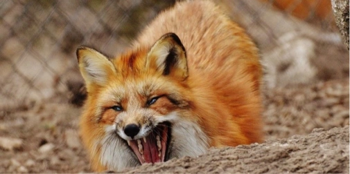 news-image