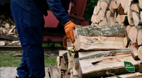 У Подільському лісовому офісі зазначили, що найдешевше дрова обходяться мешканцям Хмельниччини