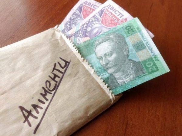 На Хмельниччині багатодітна мати через суд домоглася збільшення аліментів, бо у ексчоловіка покращився майновий стан
