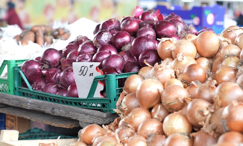 На Хмельниччині окремі господарства переорюють поля з цибулею: ціна впала нижче собівартості