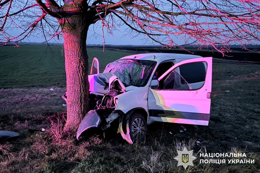У Хмельницькому районі п’яний водій врізався у дерево: четверо постраждалих, серед яких неповнолітня