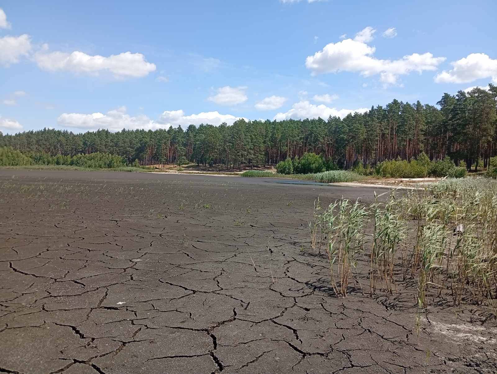 На Хмельниччині поступово зникає найбільше природне озеро
