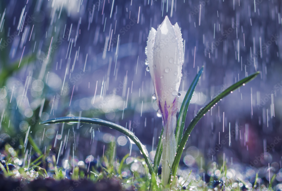 Синоптики прогнозируют дожди в Запорожье: когда будут осадки