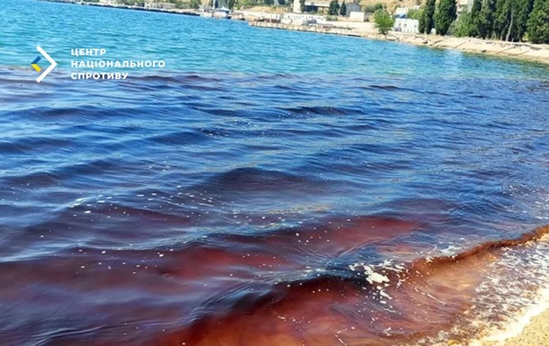 Екоцид у Чорному морі: в Криму через каналізаційні стоки гинуть дельфіни