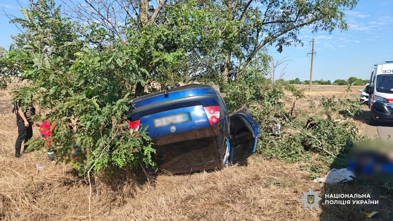 Водій з Татарбунарської громади, який у стані алкогольного сп’яніння травмував чотирьох пасажирів, отримав вирок суду