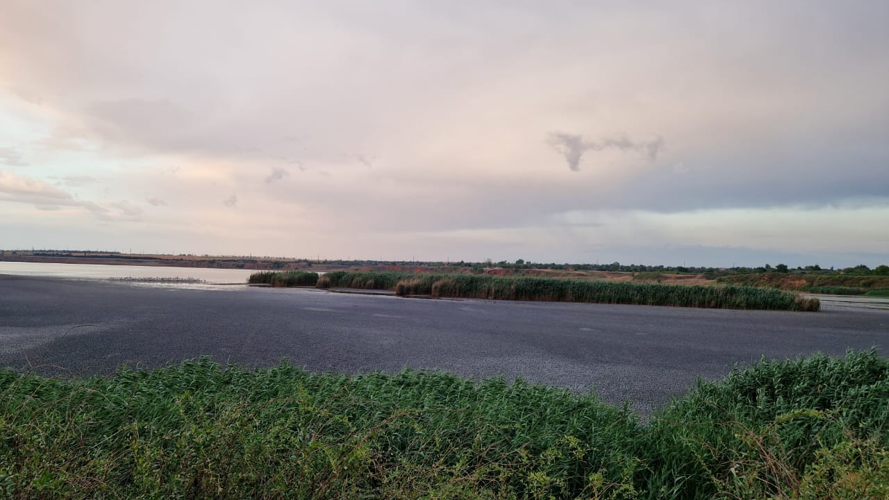 В Ізмаїльському районі не поспішають зупинити екологічну катастрофу на озері Китай