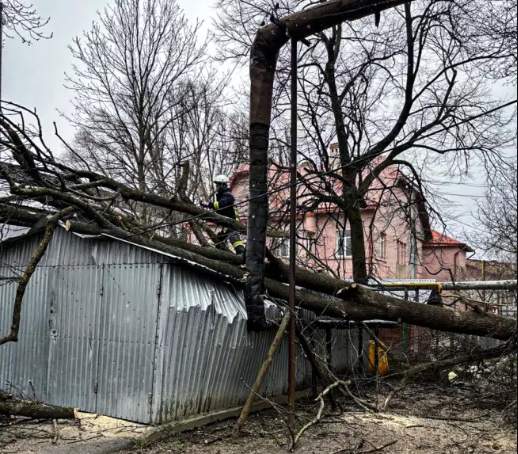 У Чернівцях дерево, яке впало, зруйнувало гараж: рятувальники розповіли про наслідки негоди - фото