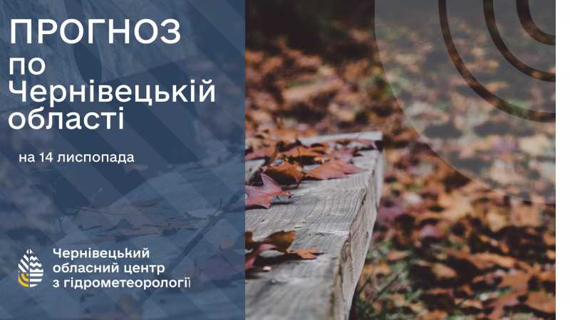 Погода на Буковині 14 листопада