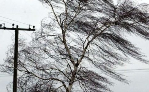 Сьогодні на Полтавщині очікують сильний вітер: в області оголосили штормове попередження