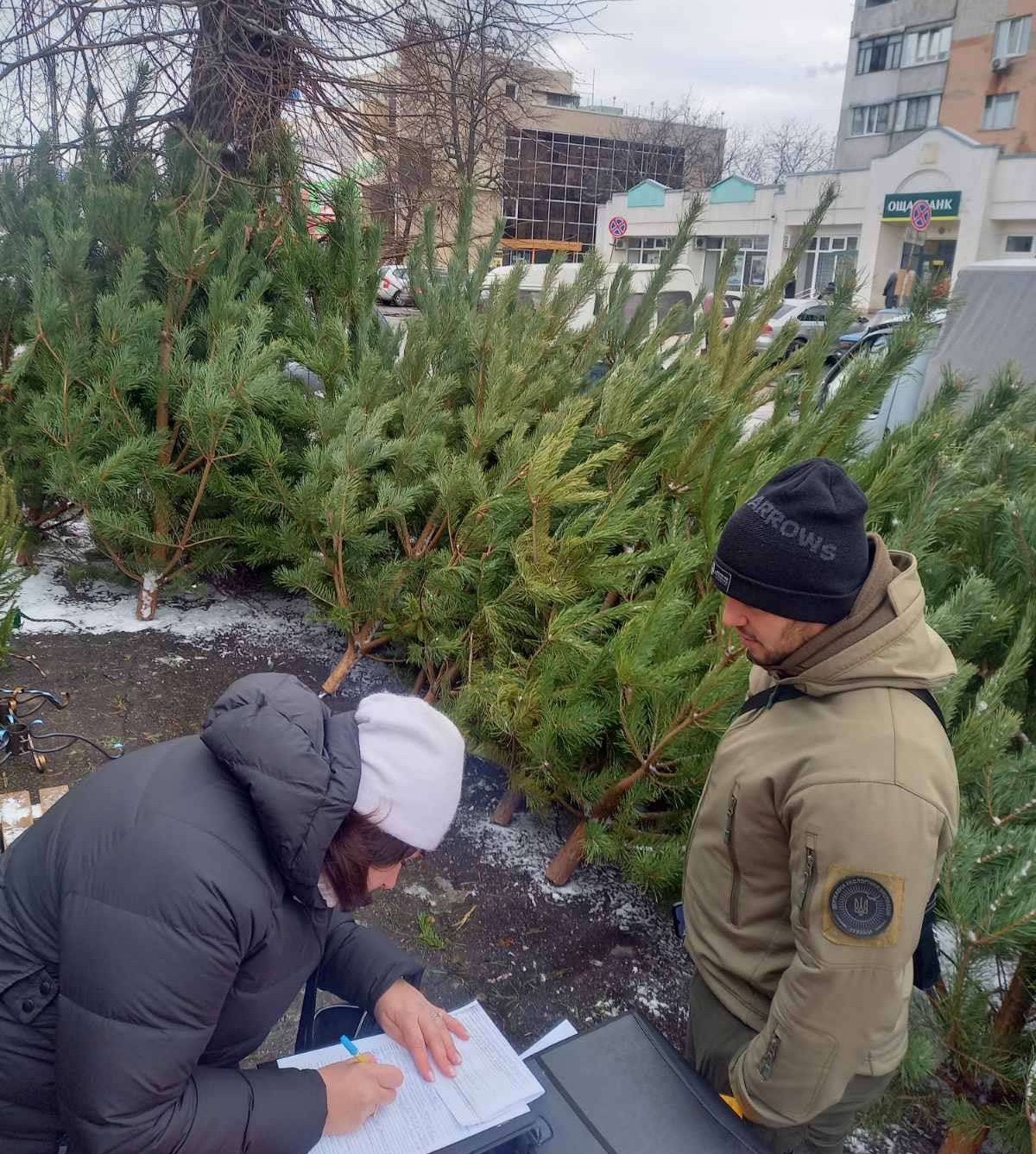 На Полтавщині перевіряють законність порубки та продажу ялинок: зафіксовані випадки порушення