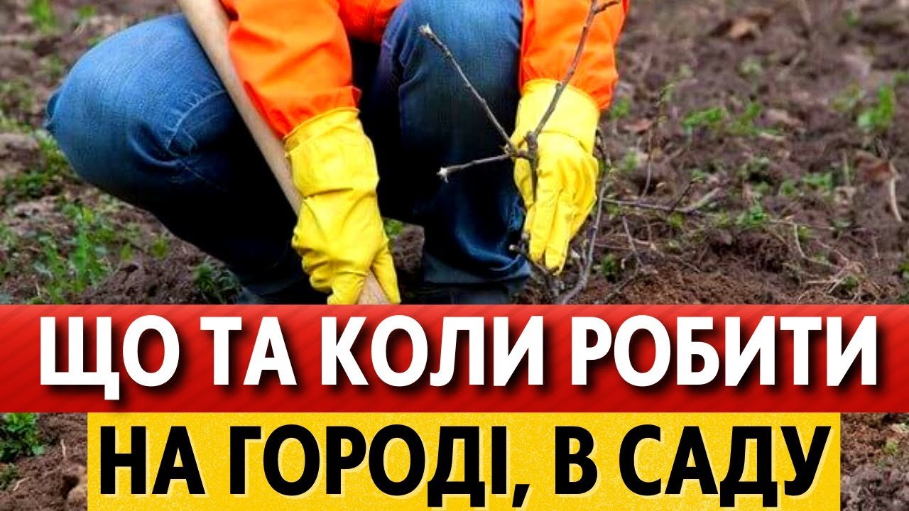 Календар городника на листопад — що робимо в останній місяць осені